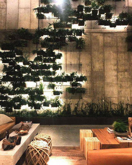 Vườn cây như điểm nhấn đặc biệt ấn tượng cho căn nhà.