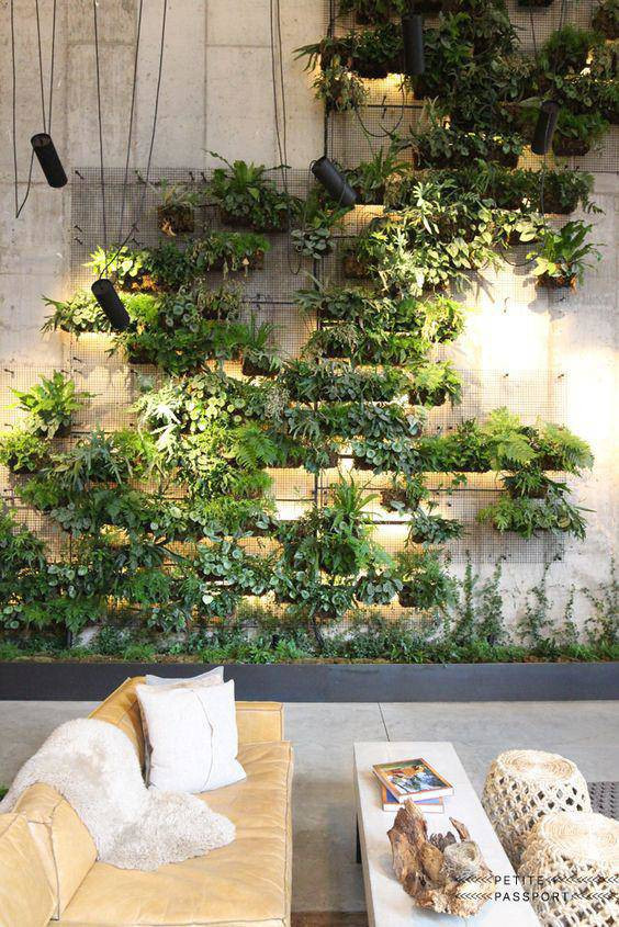 Vườn treo hợp lý phát huy tối đa những khả năng của bản thân để tạo ra nhiều giá trị cho xã hội.