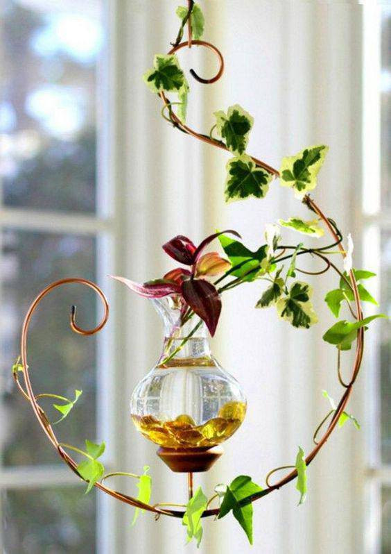 Vườn treo góp phần vào sự cân bằng độ ẩm tốt hơn và thậm chí có thể kiểm soát độ cân bằng này.