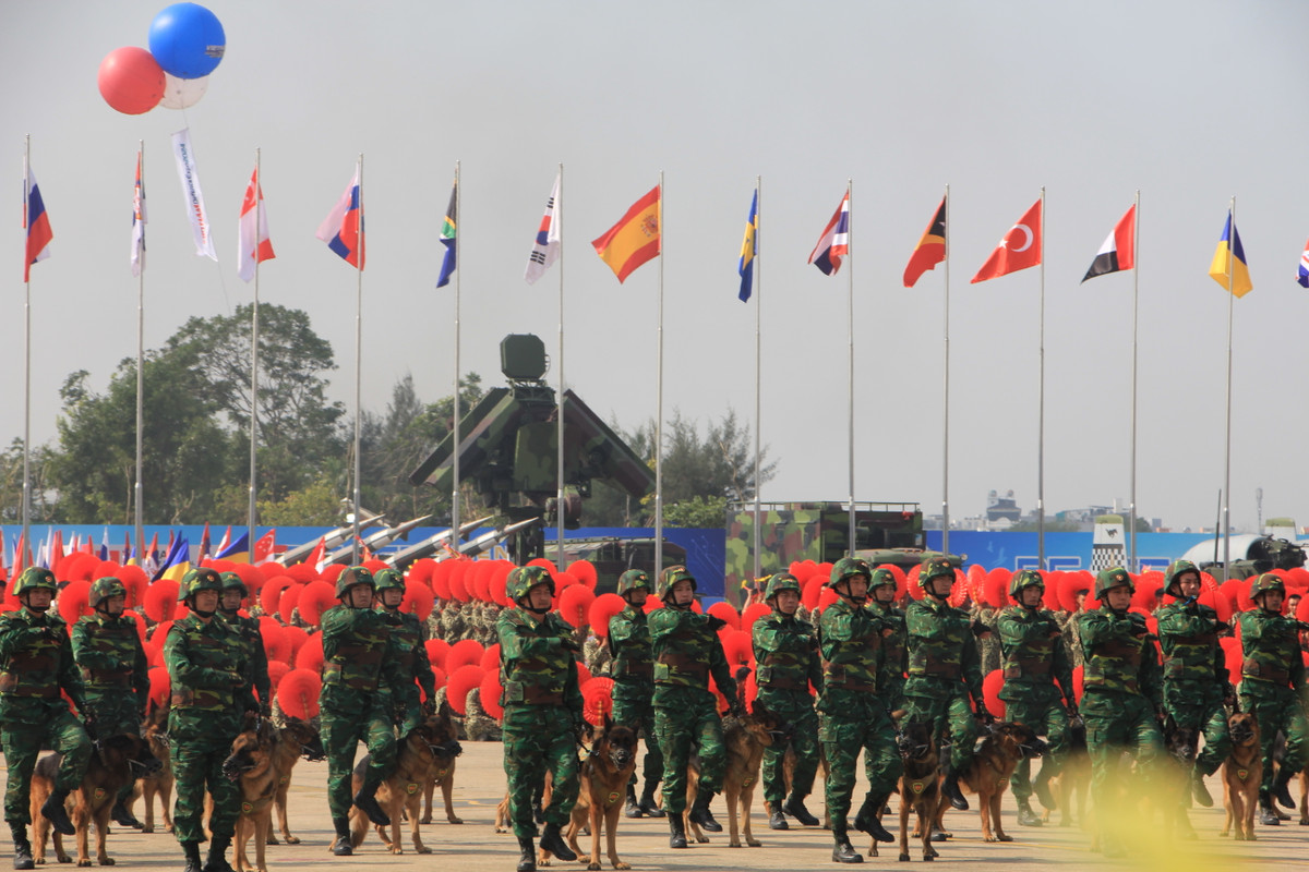 Quân khuyển tạo được sức hút với sự thông minh và lanh lợi.