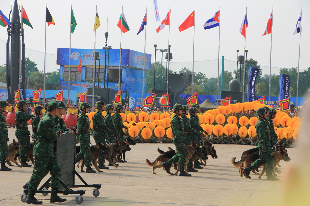 Lực lượng quân khuyển hiên ngang tiến vào khu vực biểu diễn. 