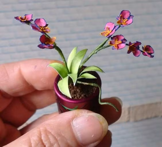 Sự cân xứng của mỗi nhánh hoa tạo nên sự khác biệt. Ảnh: pekevasion.blogspot.com.es.