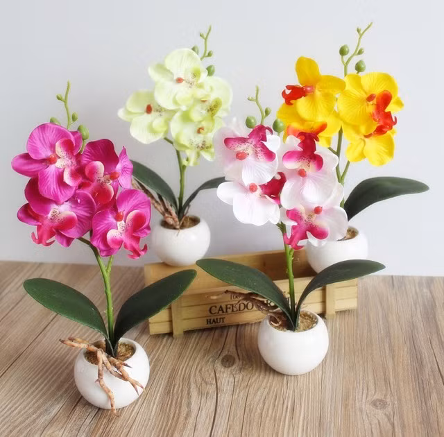 ... vừa nhỏ gọn... Ảnh: aliexpress.com.