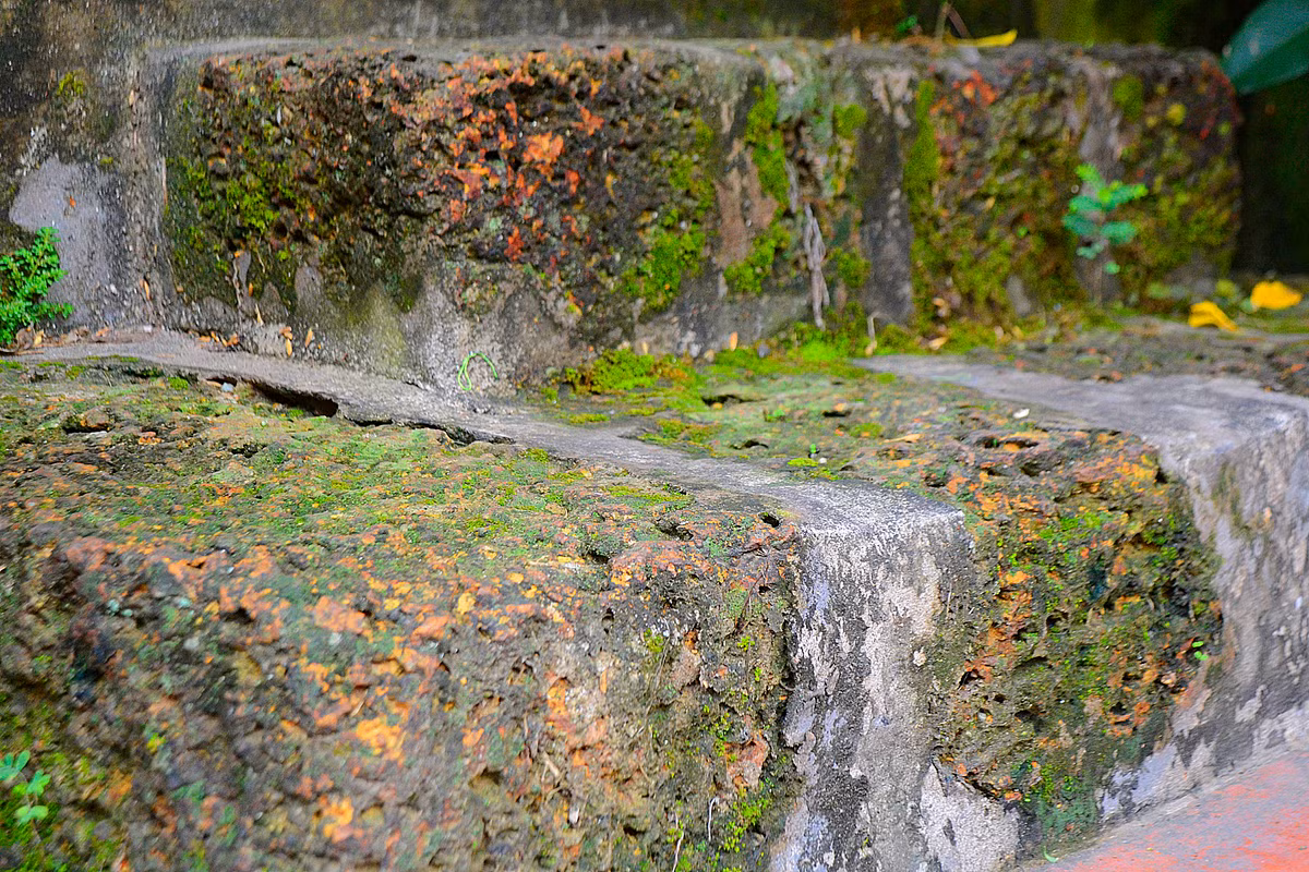 Những bậc tam cấp được xây từ những viên đá ong - nét đặc trưng vốn có của làng cổ Đường Lâm.