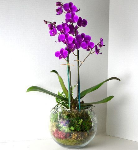 Ảnh: Como Organizar la Casa.