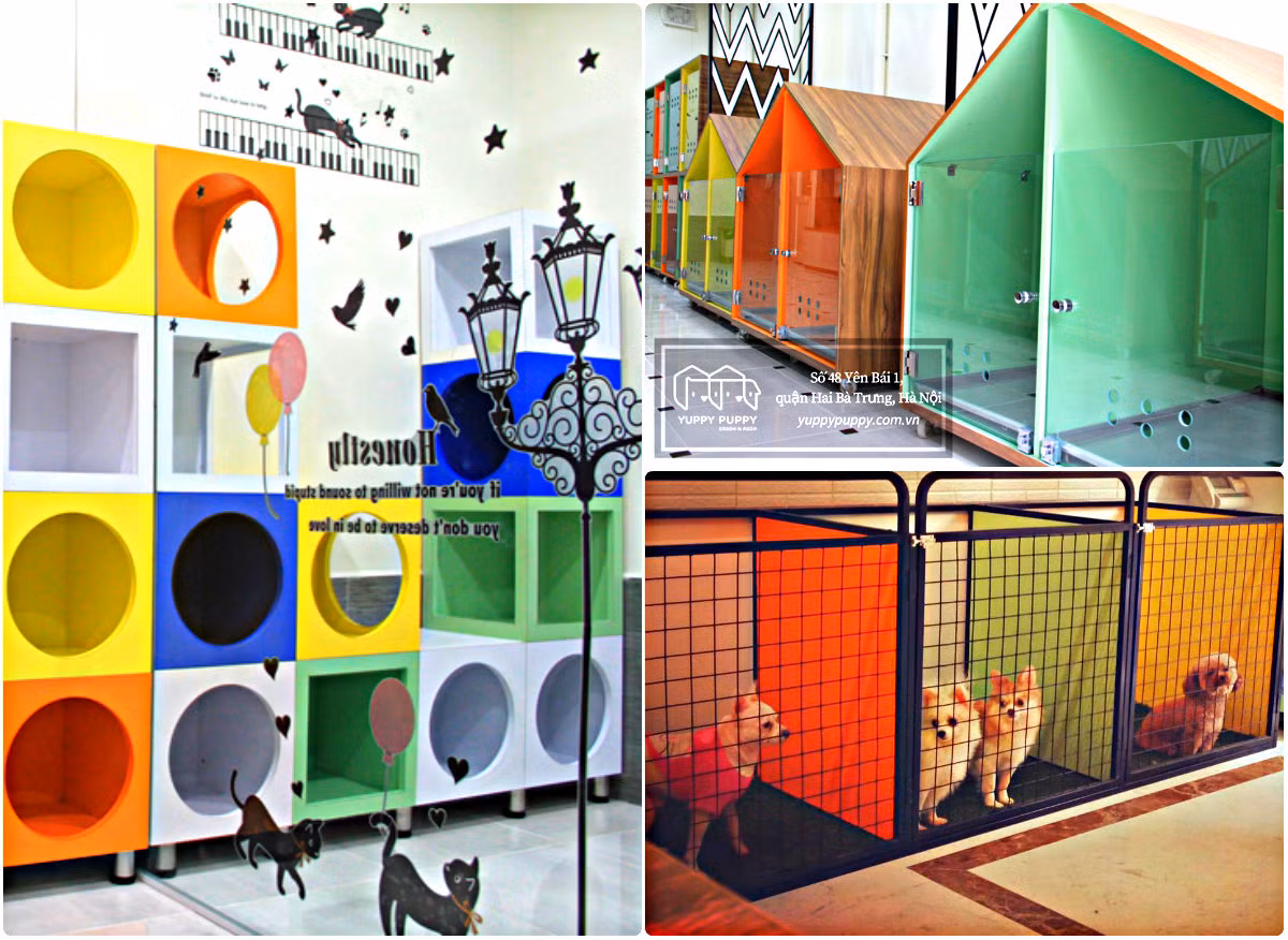 Thú cưng được đảm bảo môi trường sống thân thiện và ấm cúng như ở nhà. Ảnh: Yuppy Puppy.