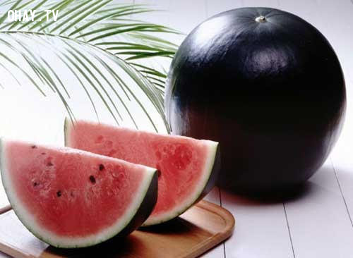 Quả dưa hấu Densuke - một loại dưa hiếm, độ giòn, độ ngọt rất đặc trưng có giá 188 triệu đồng/quả. Ảnh: ohay.tv. Quả dưa hấu Densuke - một loại dưa hiếm, độ giòn, độ ngọt rất đặc trưng có giá 188 triệu đồng/quả. Ảnh: ohay.tv.