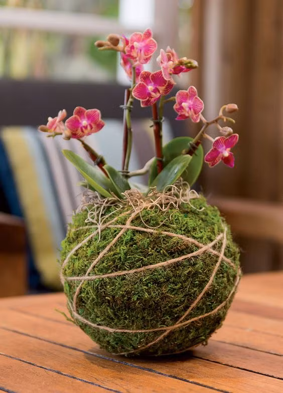 Các nghệ nhân có thể chế ra rất nhiều kiểu trưng bày hoa lan mini... Ảnh: Gardener's Supply Company.