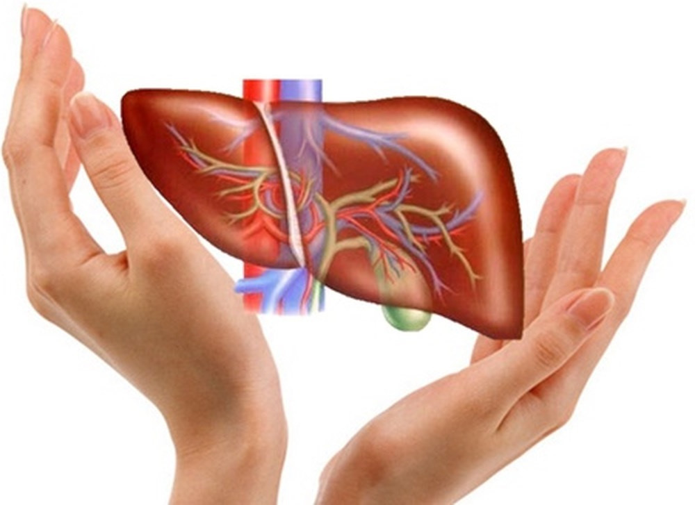 Theo bác sĩ Bay, cứ cách 4 tiếng đồng hồ thì bạn nên ăn một bữa, đây là thời gian đủ cho việc tiêu hóa và hấp thu thức ăn, đồng thời cung cấp đủ thành phần các chất để cơ thể hoạt động.