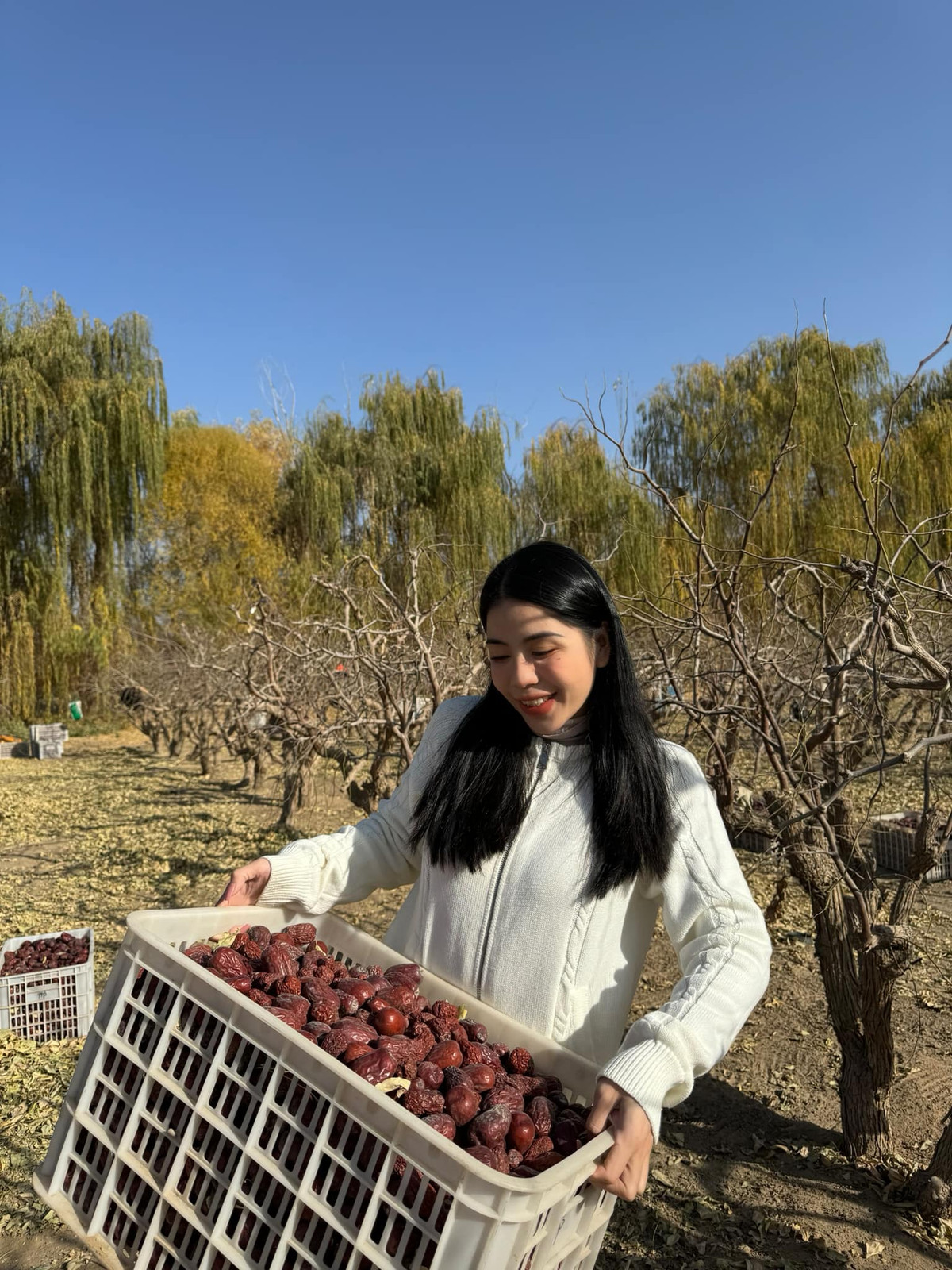 Hình ảnh nét đẹp lao động của cô nàng đã truyền năng lượng tích cực cho những người theo dõi.