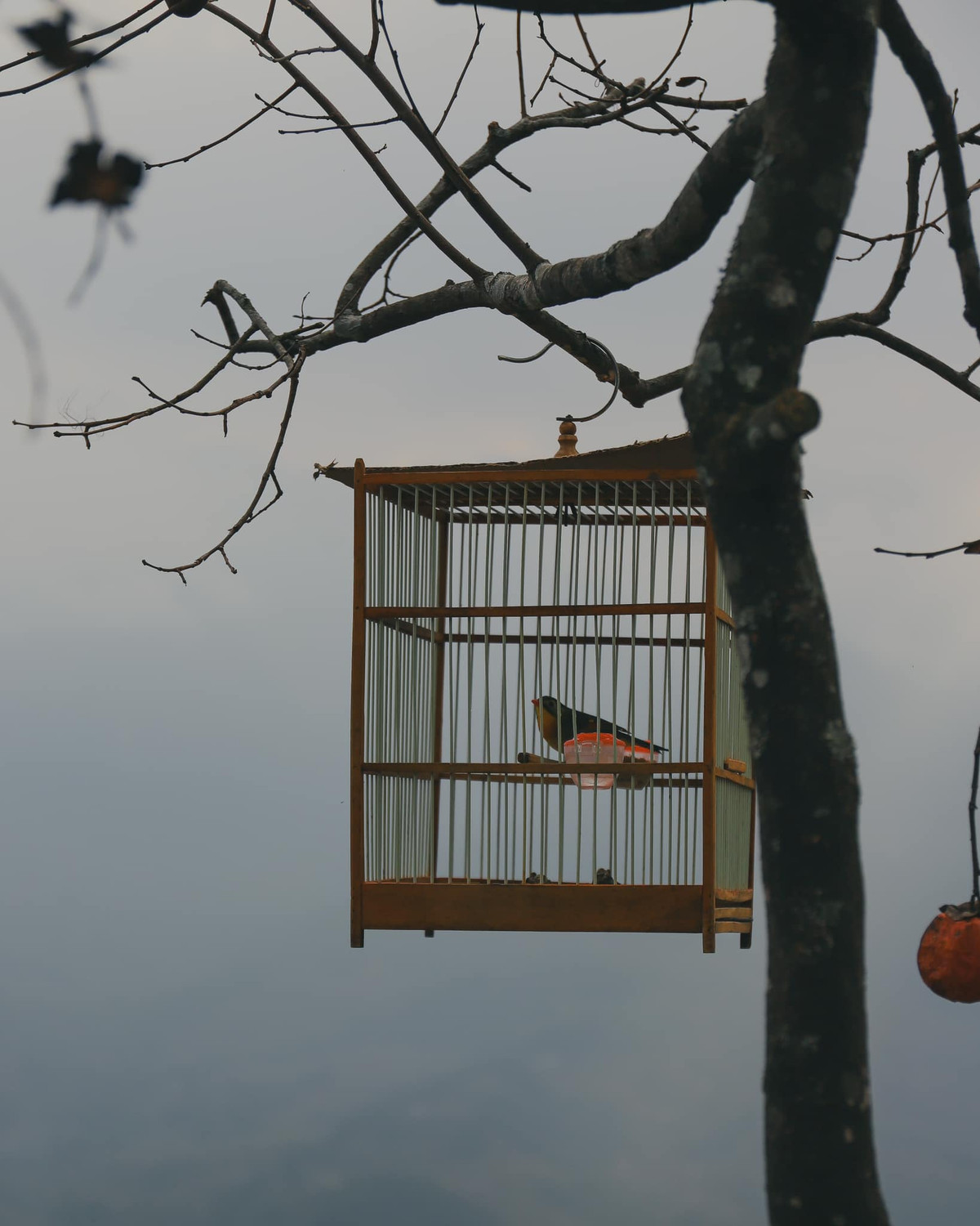Sa Pa níu lòng khách tham quan không phải bởi dịch vụ đầy đủ, sang chảnh mà bởi cảnh sắc nhẹ nhàng, không khí trong lành. Cảm giác như cả thế giới chỉ còn lại mình và thiên nhiên.