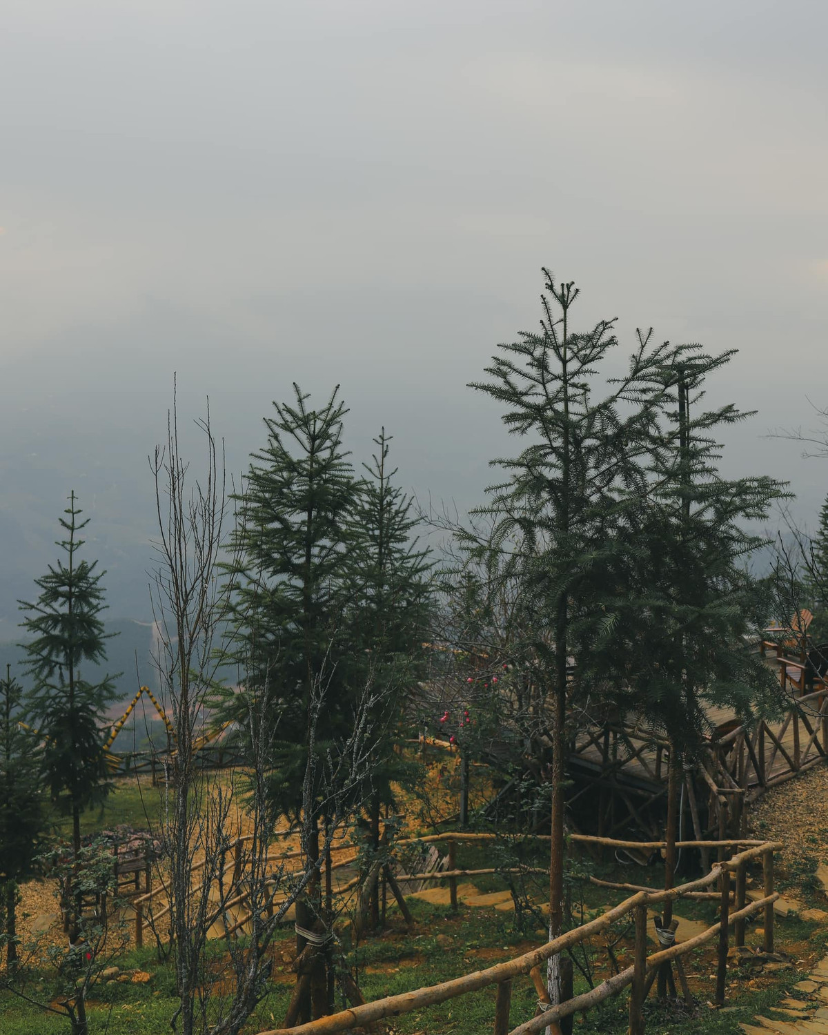 Cảnh sắc im lìm như đang ngủ đông, để đợi chờ một ngày nắng lên đơm bông, kết quả.