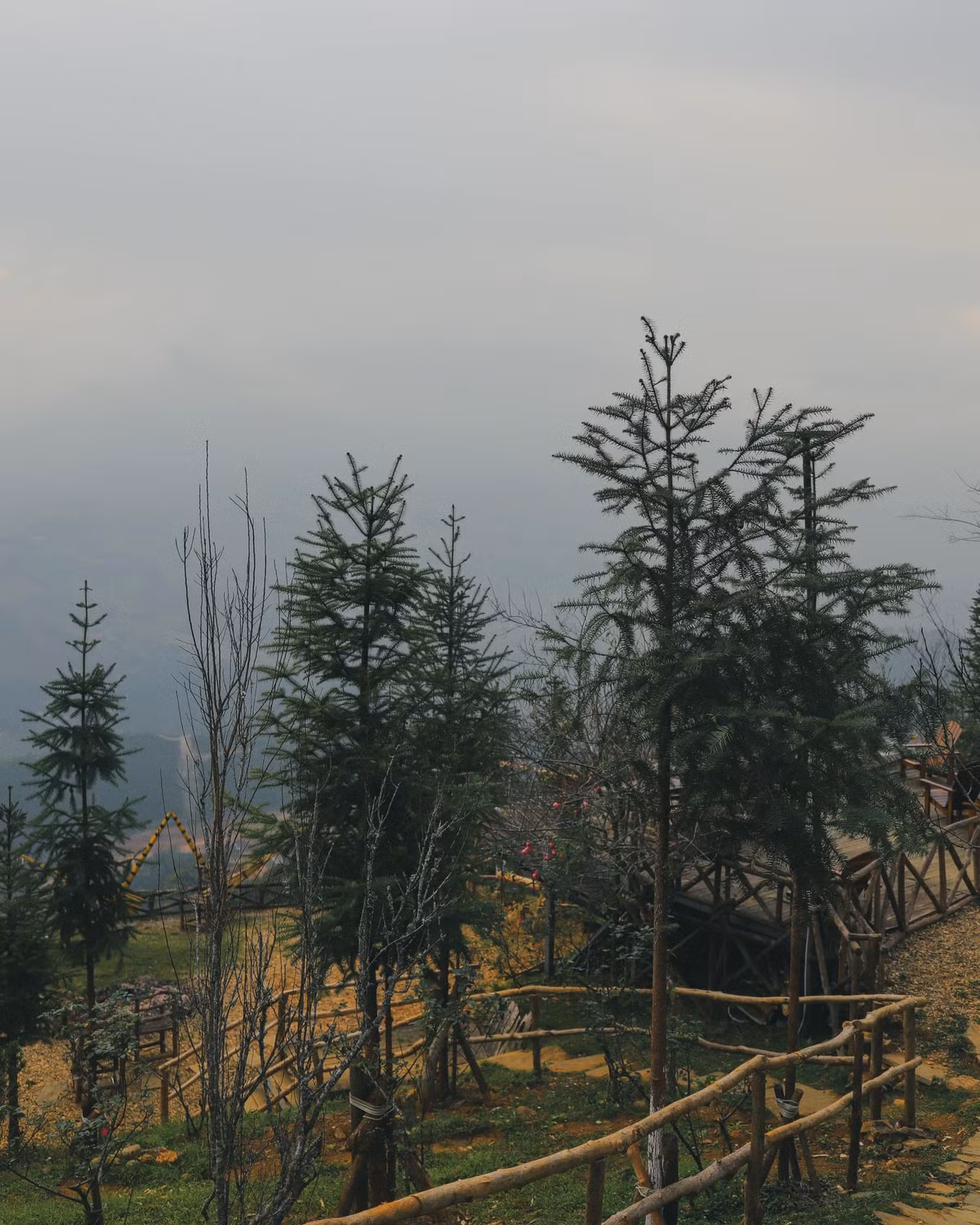 Cảnh sắc im lìm như đang ngủ đông, để đợi chờ một ngày nắng lên đơm bông, kết quả.