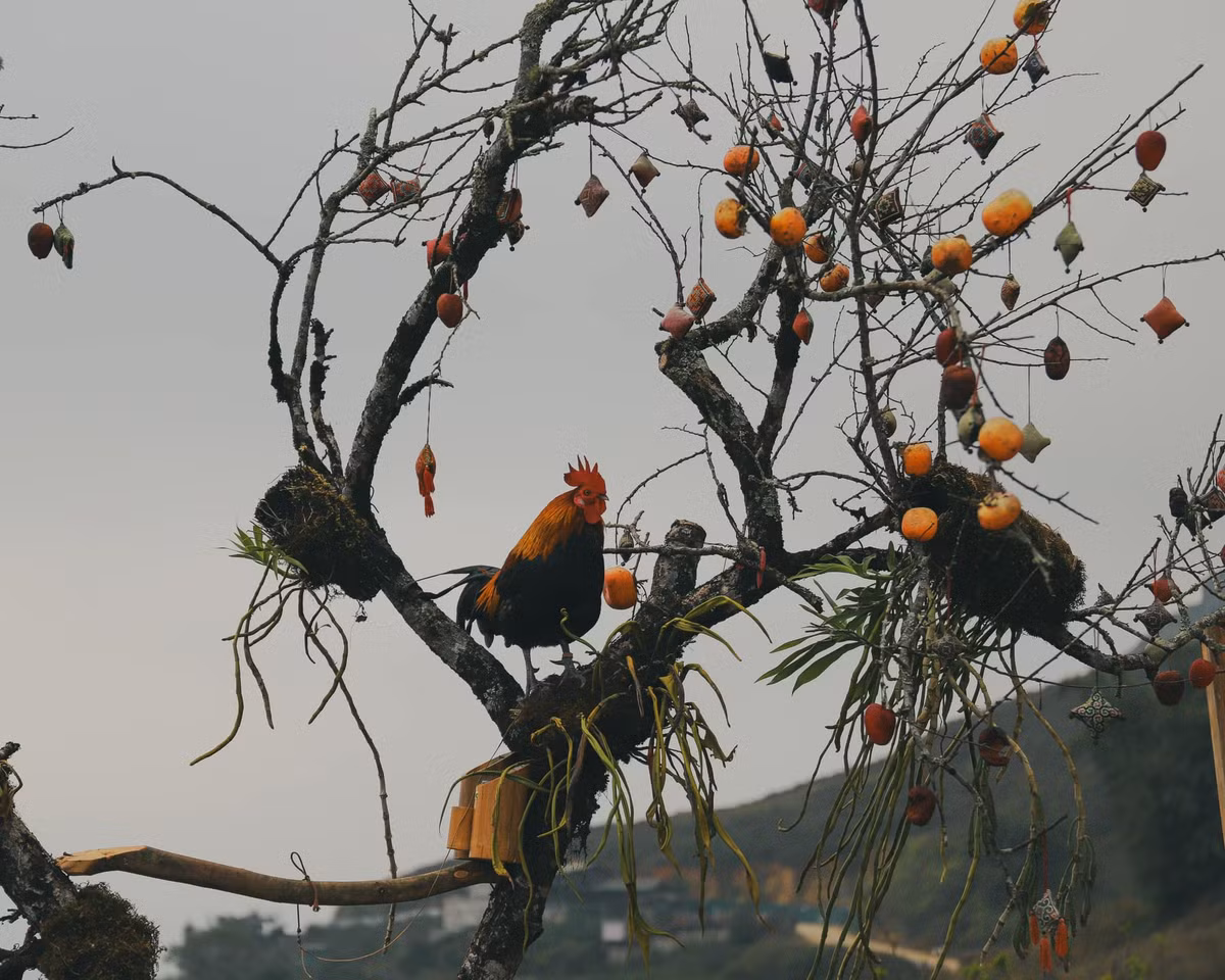 Bộ ảnh về mùa đông của Sa Pa được một tài khoản đăng tải trên mạng xã hội gần đây hút hàng chục nghìn lượt yêu thích, khiến người xem không khỏi bồi hồi bởi cảnh sắc miền sơn cước lãng mạn và đầy chất thơ.