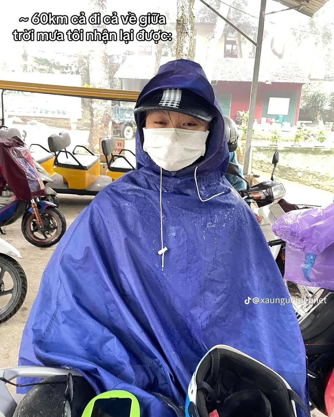 Câu chuyện đi chụp ảnh nhưng "chọn nhầm" nhiếp ảnh gia cũng không ít lần khiến cộng đồng mạng cười nghiêng ngả. Cô bạn này chia sẻ về chuyến chụp ảnh đầy giông bão của mình, theo cả nghĩa đen lẫn nghĩa bóng.