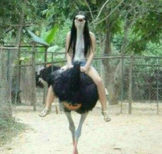 Căn góc thế này thì không phải ai cũng làm được...