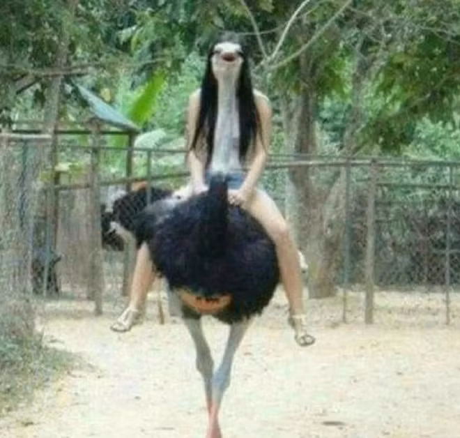 Căn góc thế này thì không phải ai cũng làm được...