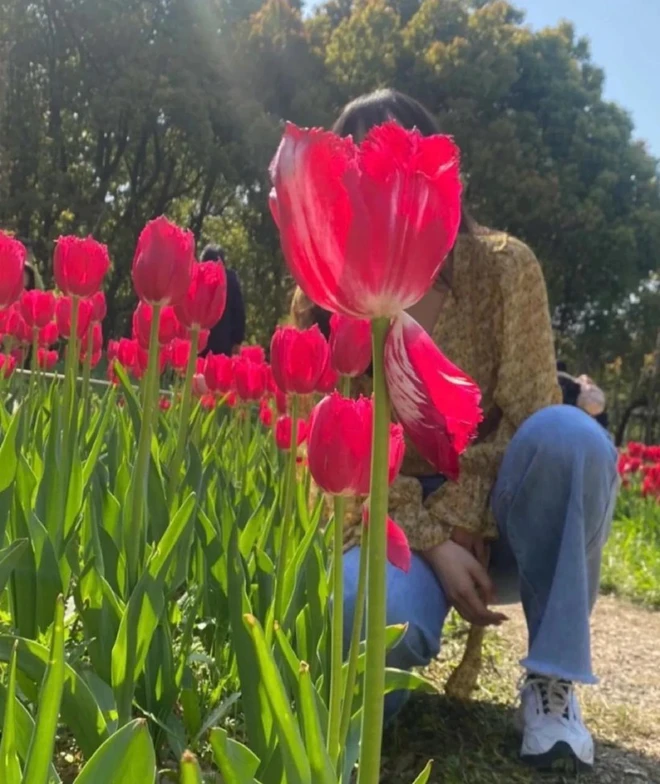 Bảo chụp cho tấm ảnh check-in với vườn hoa đẹp và đây là kết quả.