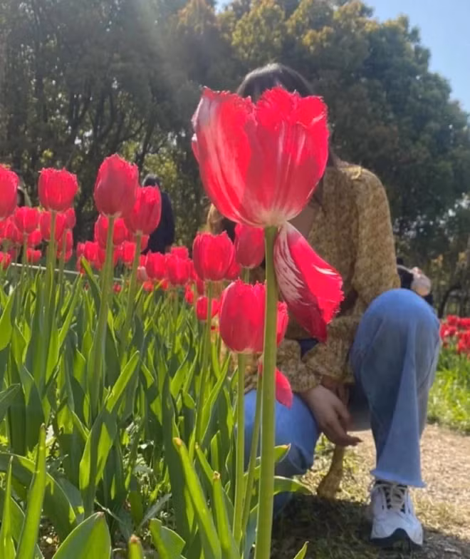 Bảo chụp cho tấm ảnh check-in với vườn hoa đẹp và đây là kết quả.