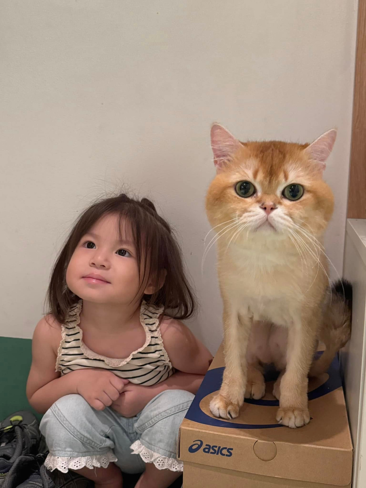 Khoảnh khắc em Pam với vẻ điềm tĩnh hơn, hiểu chuyện hơn.