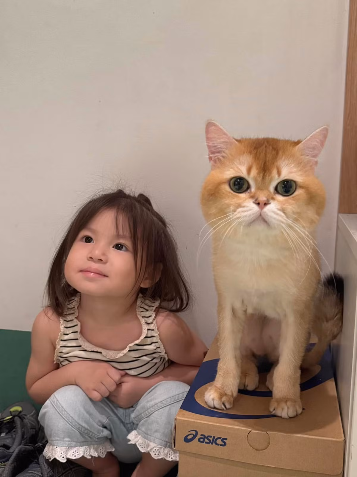 Khoảnh khắc em Pam với vẻ điềm tĩnh hơn, hiểu chuyện hơn.