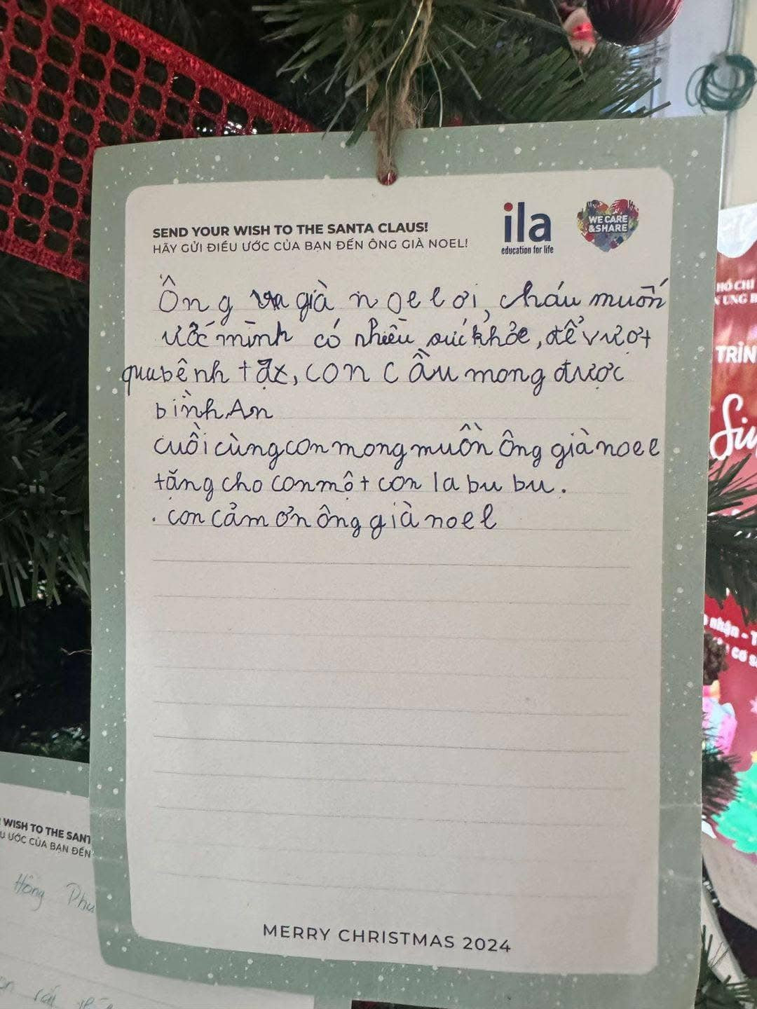 Những điều ước trên cây thông này, dù viết bằng những nét chữ xiêu xiêu vẹo vẹo, vụng về, nhưng lại chứa đựng cả một bầu trời khát khao.