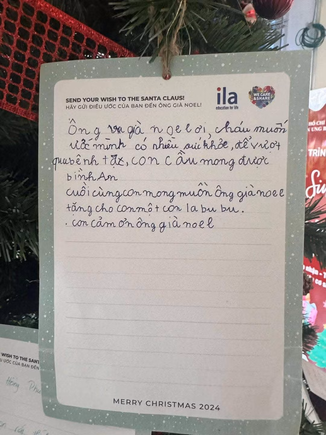 Những điều ước trên cây thông này, dù viết bằng những nét chữ xiêu xiêu vẹo vẹo, vụng về, nhưng lại chứa đựng cả một bầu trời khát khao.