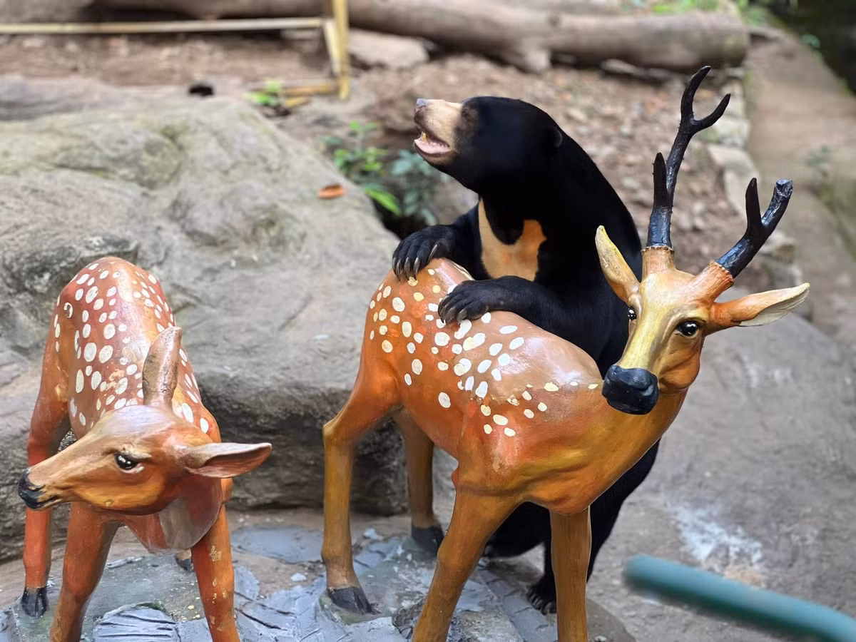 Các món quà sinh nhật được đặt ở những vị trí khác nhau trong khu vực của gấu, khuyến khích Noel và gia đình khám phá, tìm tòi.