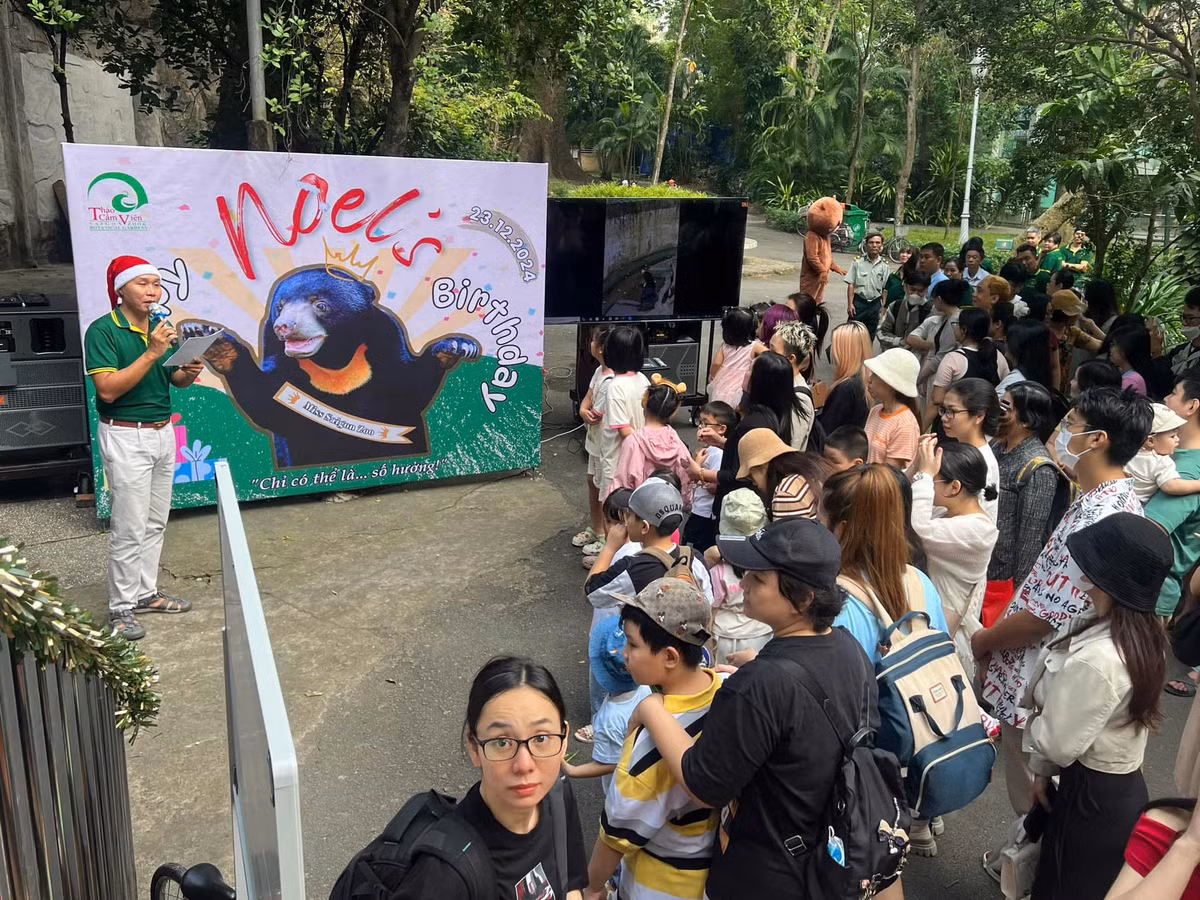 Sự kiện sinh nhật lần thứ 4 của Noel thu hút rất nhiều khách tham quan Thảo Cầm Viên ghé thăm. Nhiều người đều hào hứng bày tỏ tình cảm yêu mến với chú gấu chó đáng yêu này.