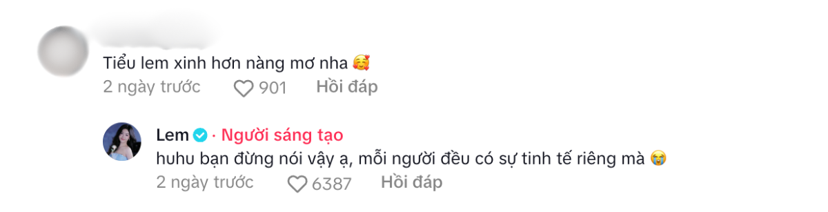 Theo đó, bình luận nói trên bày tỏ: Tiểu Lem xinh hơn nàng Mơ nha". Đáp lại, Lọ Lem khéo léo đáp trả: "Huhu bạn đừng nói vậy ạ, mỗi người đều có sự tinh tế riêng mà".