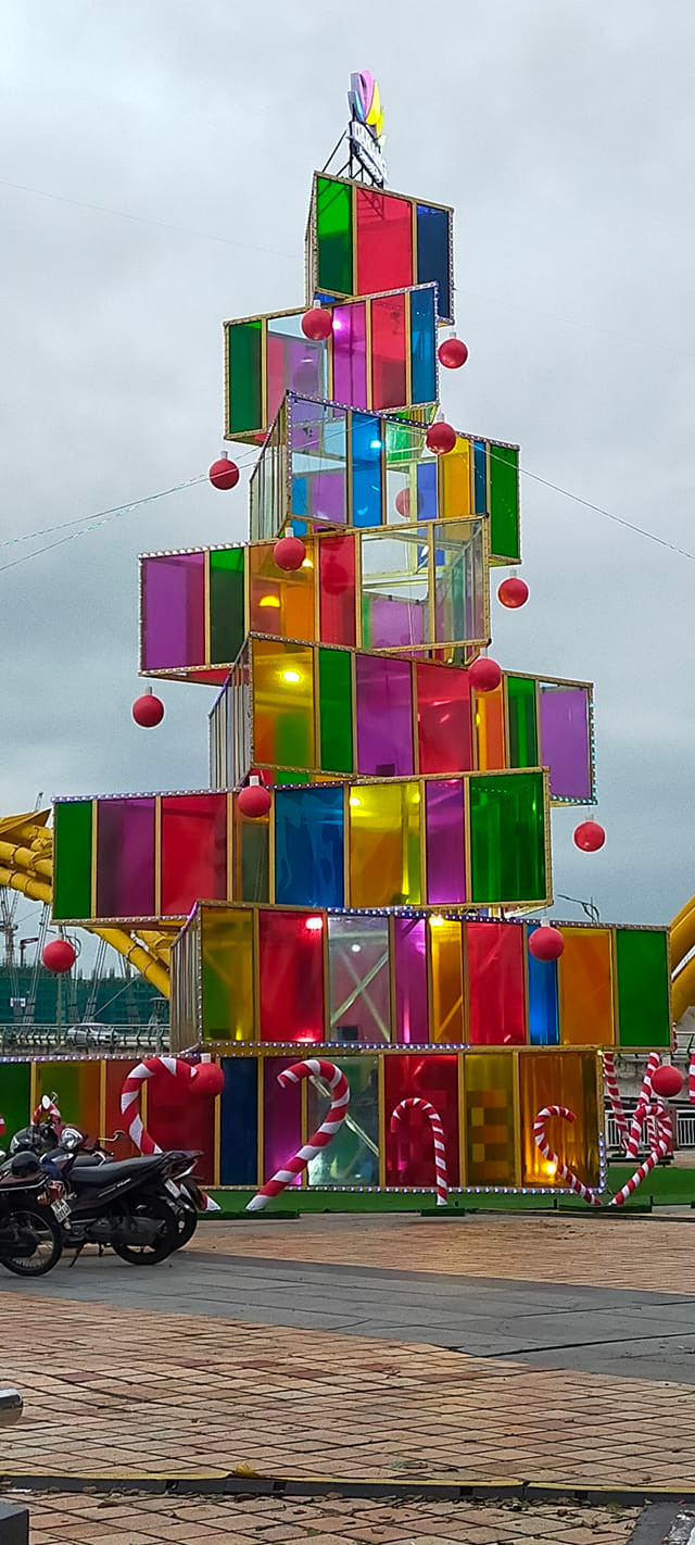 Nhiều người còn cho rằng cây thông vừa mang không khí Giáng sinh, vừa mang màu sắc tết. Vậy nên cây thông có thể để chưng được khoảng thời gian lâu dài.