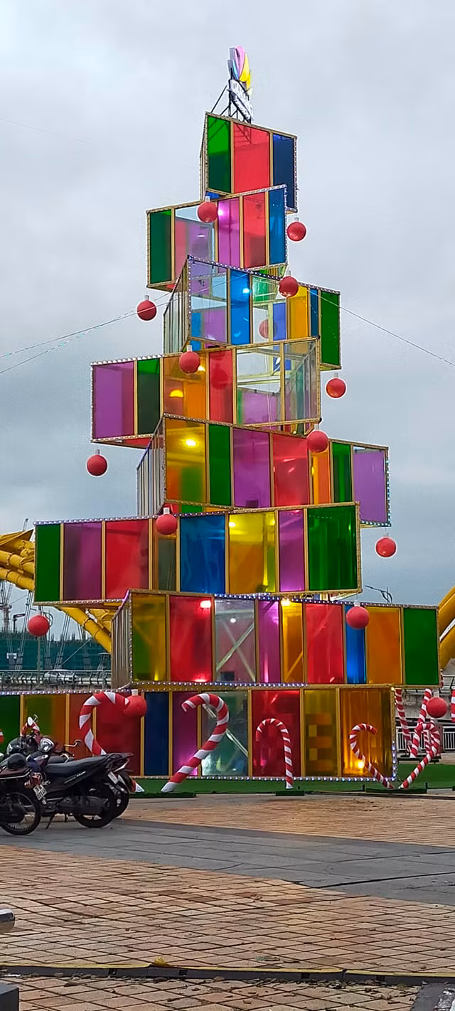 Nhiều người còn cho rằng cây thông vừa mang không khí Giáng sinh, vừa mang màu sắc tết. Vậy nên cây thông có thể để chưng được khoảng thời gian lâu dài.