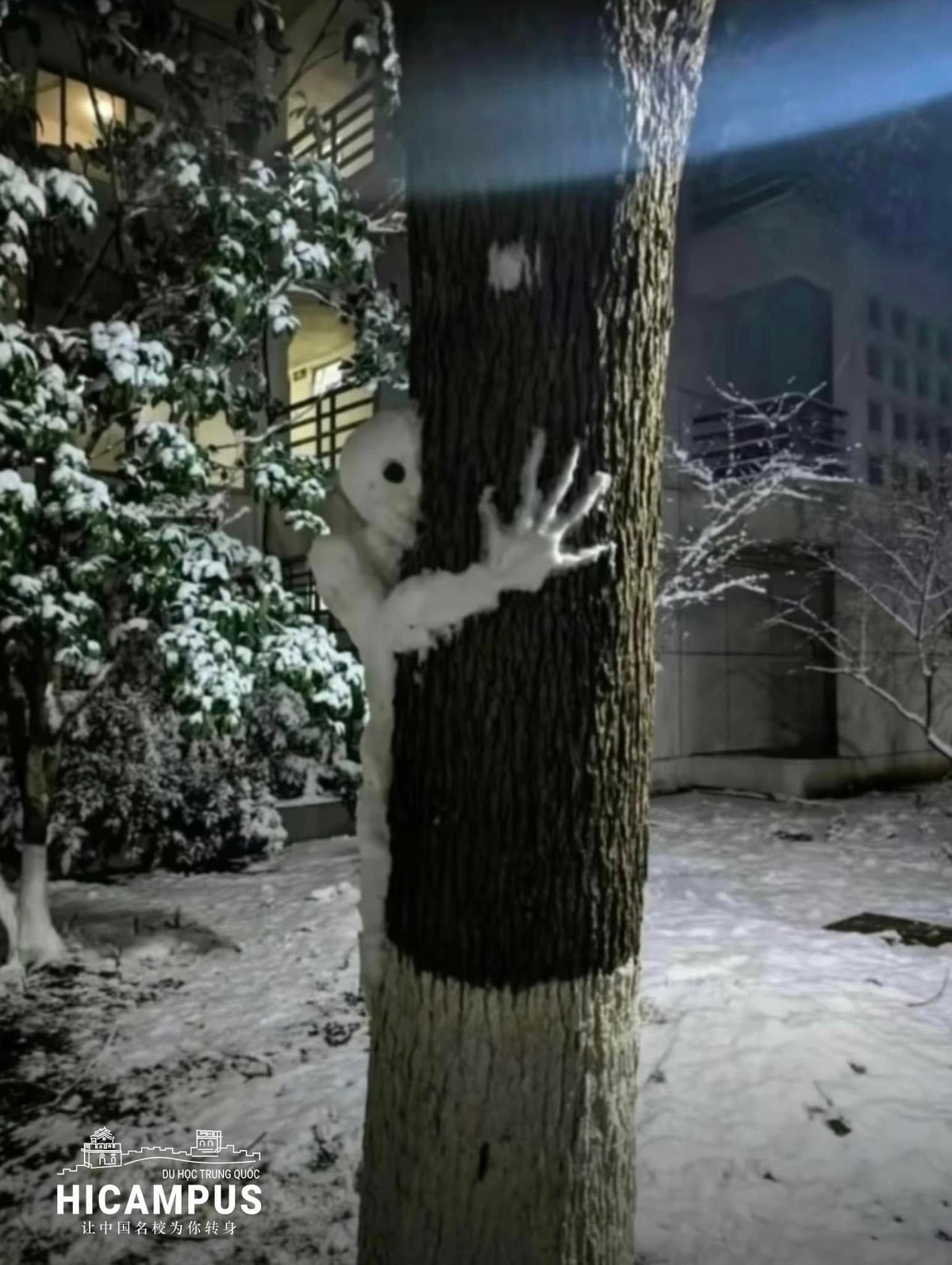 Đi dạo vào ban đêm gặp cảnh này chắc người đi đường sẽ "hồn lìa khỏi xác".