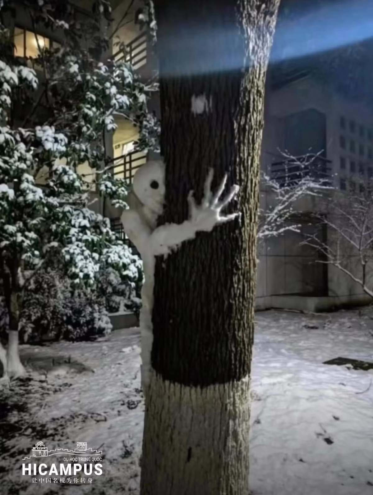 Đi dạo vào ban đêm gặp cảnh này chắc người đi đường sẽ "hồn lìa khỏi xác".