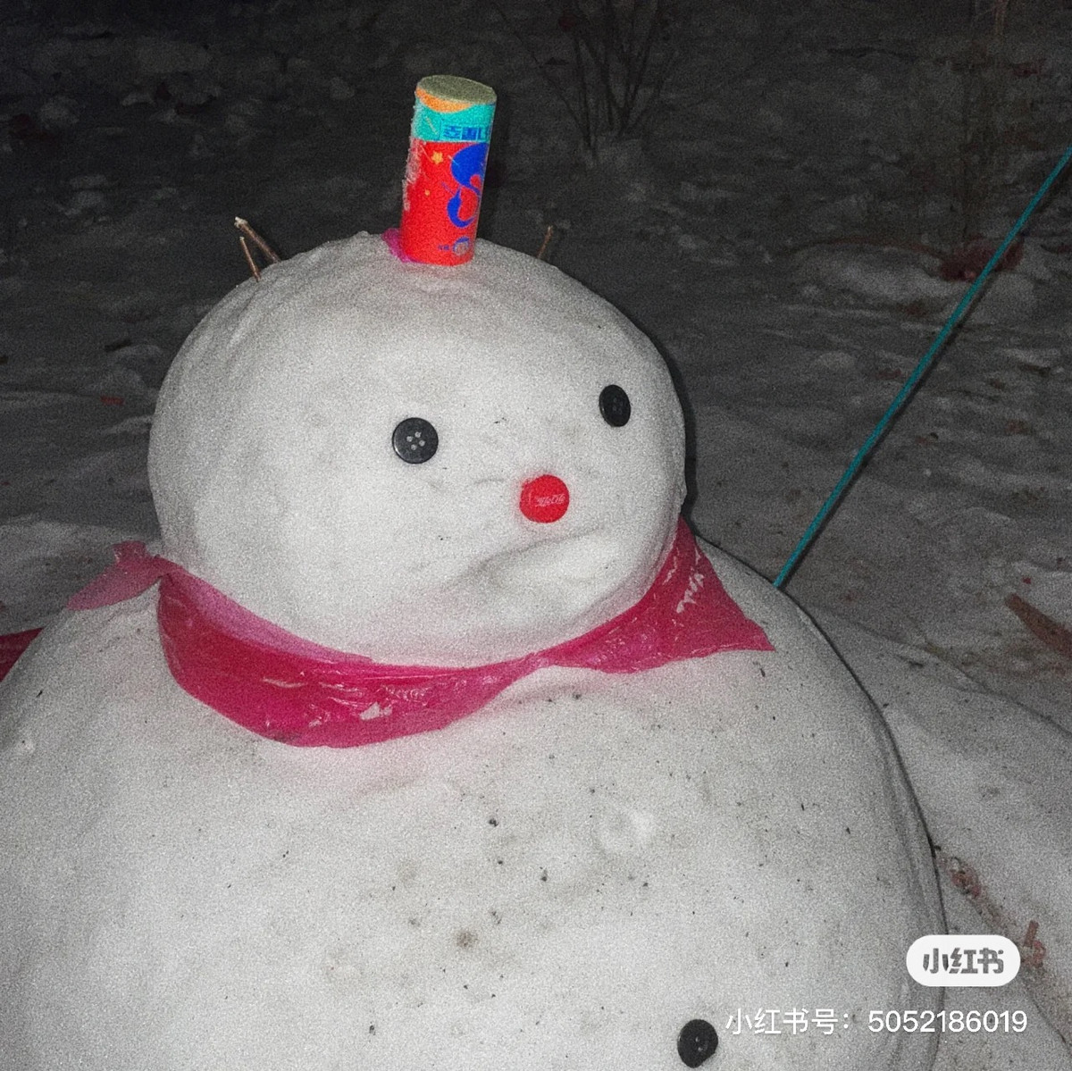 Chú người tuyết đáng yêu, mũm mĩm. (Ảnh: HiCampus)