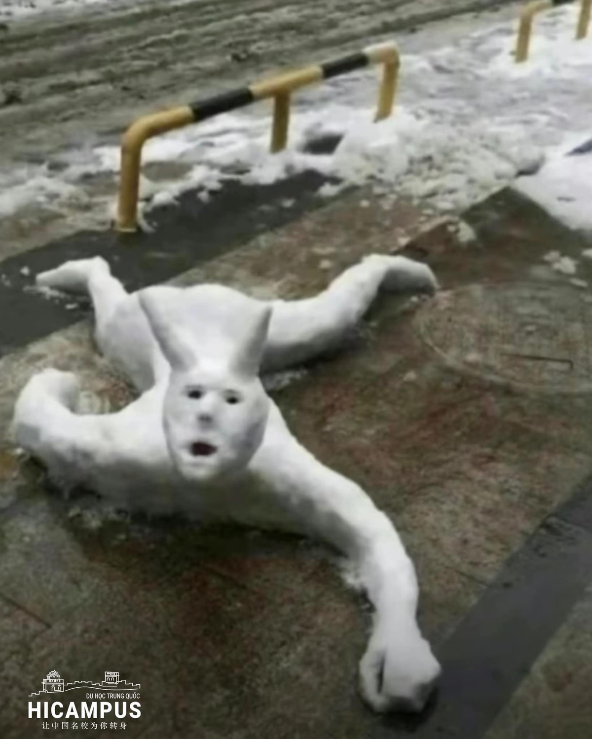 Biểu cảm của người tuyết này khiến người nhìn phải giật mình thon thót.