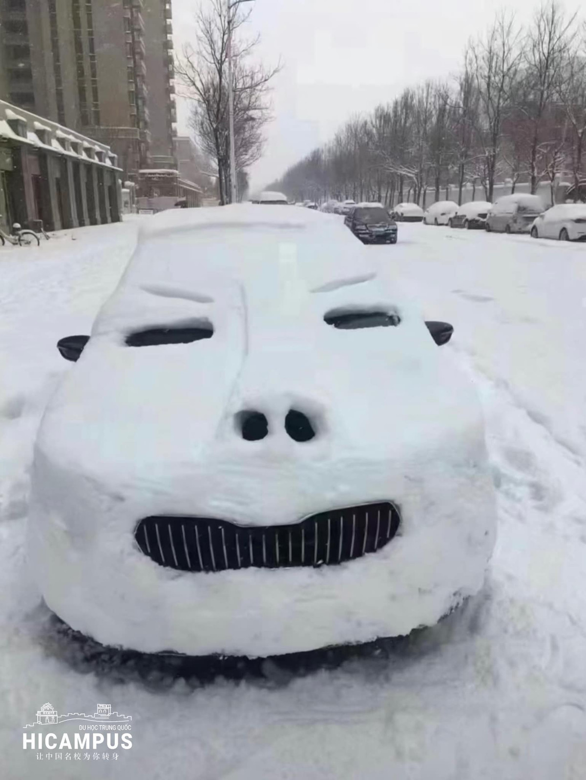 Thậm chí bức ảnh này còn được nhiều cư dân mạng sử dụng làm meme trong các cuộc trò chuyện.