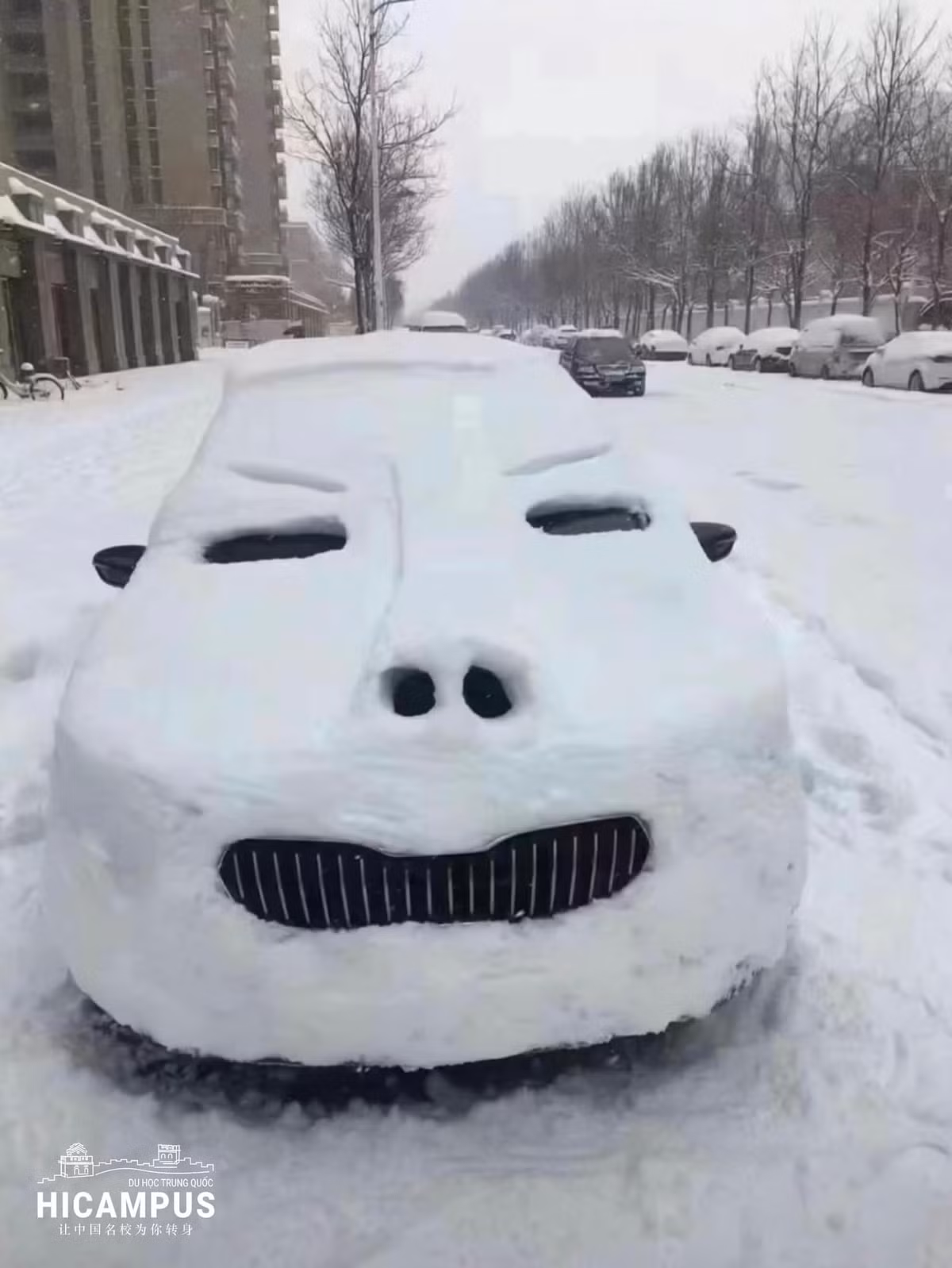 Thậm chí bức ảnh này còn được nhiều cư dân mạng sử dụng làm meme trong các cuộc trò chuyện.