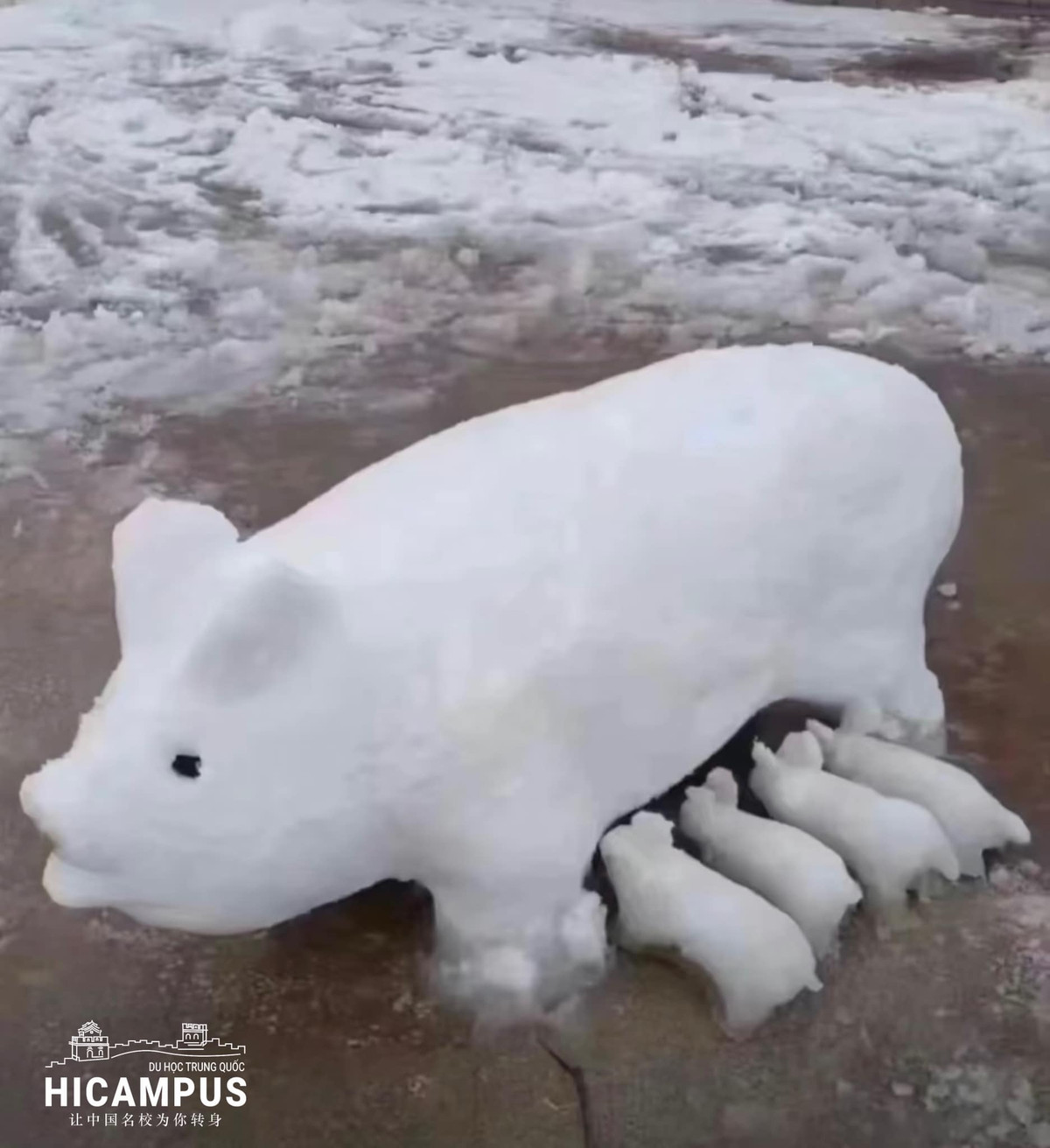 Đam mê với công việc chăn nuôi thể hiện cả trong việc đắp tuyết.