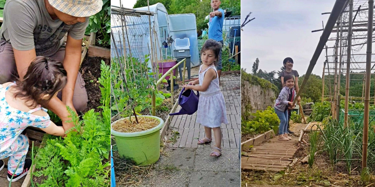Không chỉ André, các thành viên khác của gia đình anh đều yêu thích khu vườn. Anh truyền cảm hứng trồng rau củ, chăm sóc vườn cho Hoài Nam (14 tuổi), Sao Mai (8 tuổi), con trai và con gái của mình từ khi các bé còn rất nhỏ. (Ảnh: FBNV)