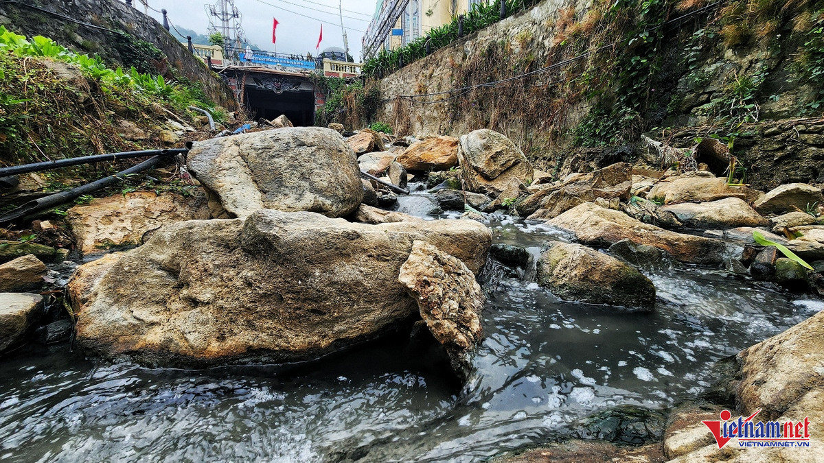 Canh o nhiem tram trong o suoi Mo tren dinh Tam Dao-Hinh-2