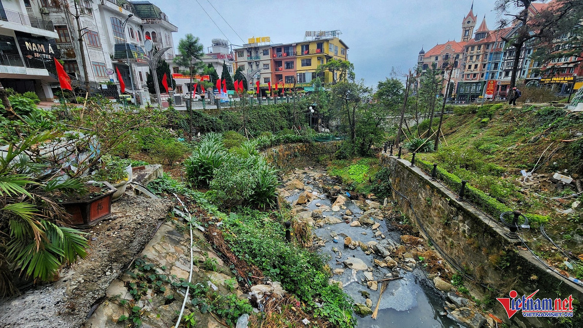 Canh o nhiem tram trong o suoi Mo tren dinh Tam Dao-Hinh-3