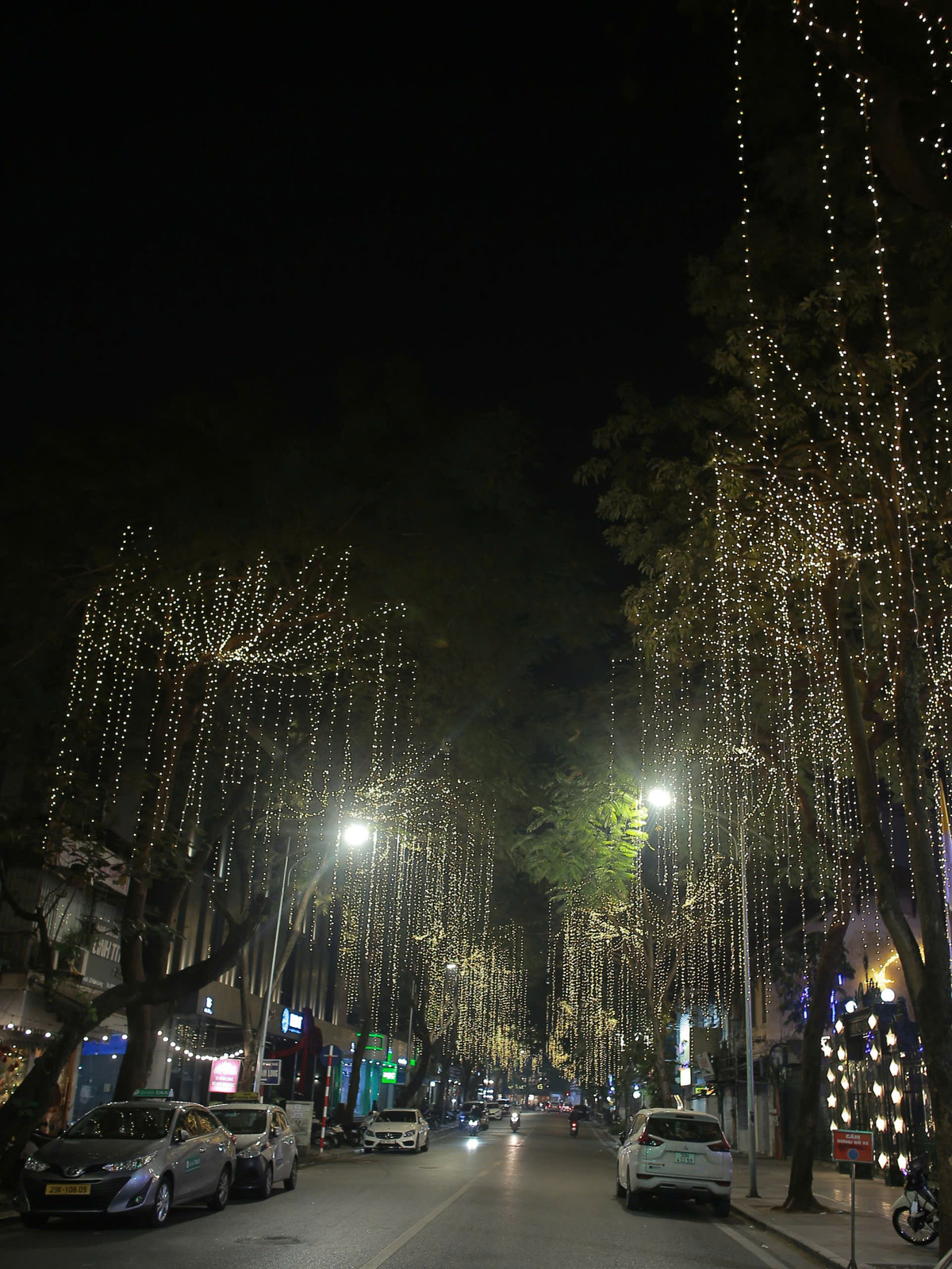 Hai hàng cây trên con phố Hàm Long cũng được trang trí rực rỡ, như bước vào con đường ánh sáng.