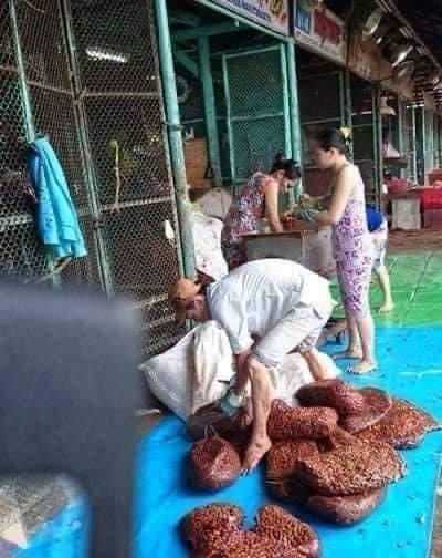 Trên thị trường, những loại me này thường được dùng để nấu canh chua, làm mứt và gia vị cho nhiều món ăn khác nhau.