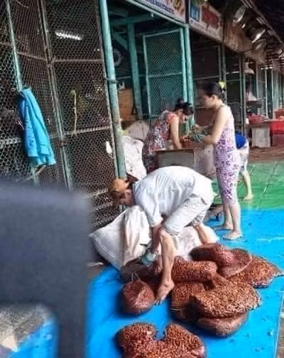 Trên thị trường, những loại me này thường được dùng để nấu canh chua, làm mứt và gia vị cho nhiều món ăn khác nhau.