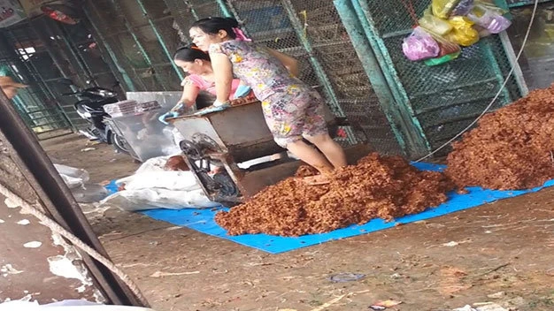 Theo tìm hiểu, thực chất đoạn video này đã được chia sẻ trên mạng xã hội từ nhiều năm trước. Gần đây, những hình ảnh này tiếp tục được chia sẻ lại và vẫn thu hút rất nhiều sự chú ý đến từ các hội nhóm, diễn đàn trên mạng xã hội.