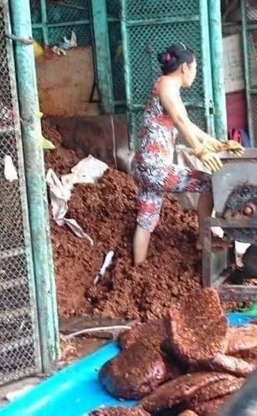 Theo đó, ba người phụ nữ, một người đàn ông đi chân đất giẫm đạp lên me, rồi đóng thành từng khối bày la liệt trên nền đầy rác.