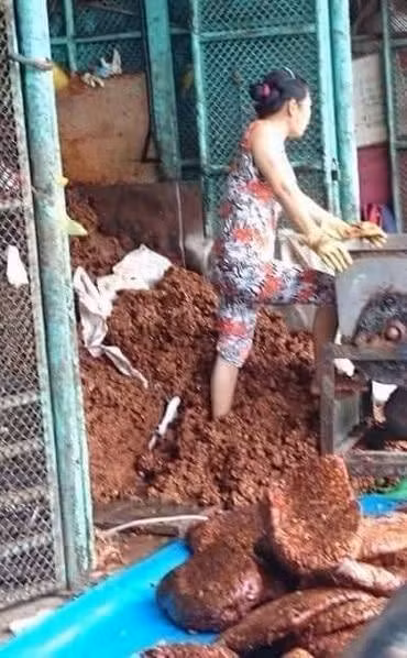 Theo đó, ba người phụ nữ, một người đàn ông đi chân đất giẫm đạp lên me, rồi đóng thành từng khối bày la liệt trên nền đầy rác.