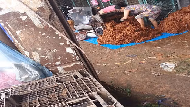 Nhiều người bày tỏ sự bức xúc khi nhìn thấy loạt hình ảnh này: "Dã man, bảo sao mua me giá rẻ này", "sợ quá, mấy món như này thường về ăn trực tiếp chứ chả bao giờ rửa lại vì sợ trôi mất hết chất này"".