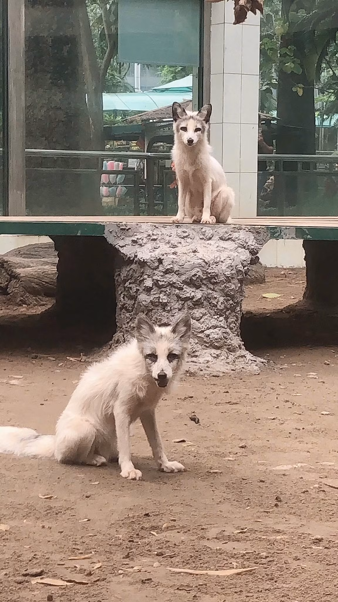 Nhìn giao diện xảo quyệt tí thôi nhưng tính tình thì mè nheo đáng yêu, nhất là lúc làm nũng đòi ăn...